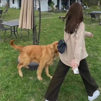 光阴的传说