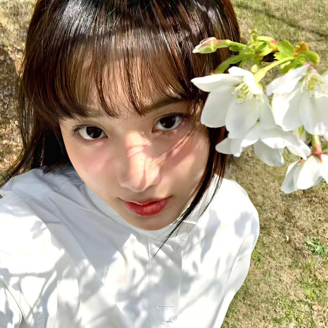 美洲风情